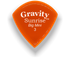 Gravity Picks Sunrise Big Mini 3mm Master Finish | Orange