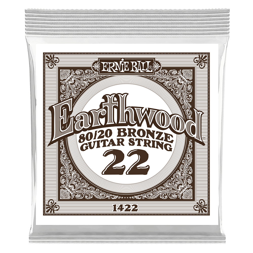 Ernie Ball P01422 .022 Earthwood 80/20 Bronze Acoustic Guitar Strings 6 Pack