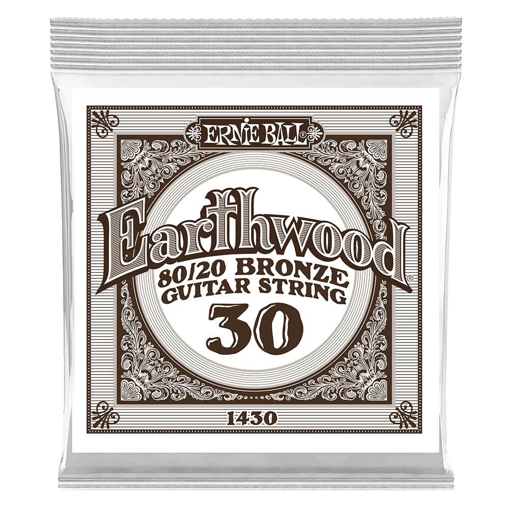 Ernie Ball P01430 .030 Earthwood 80/20 Bronze Acoustic Guitar Strings 6 Pack