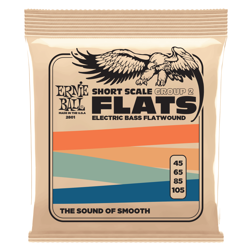 Ernie Ball Group 2 Stainless Steel Flatwound Short Scale Electric Bass Strings 45-105