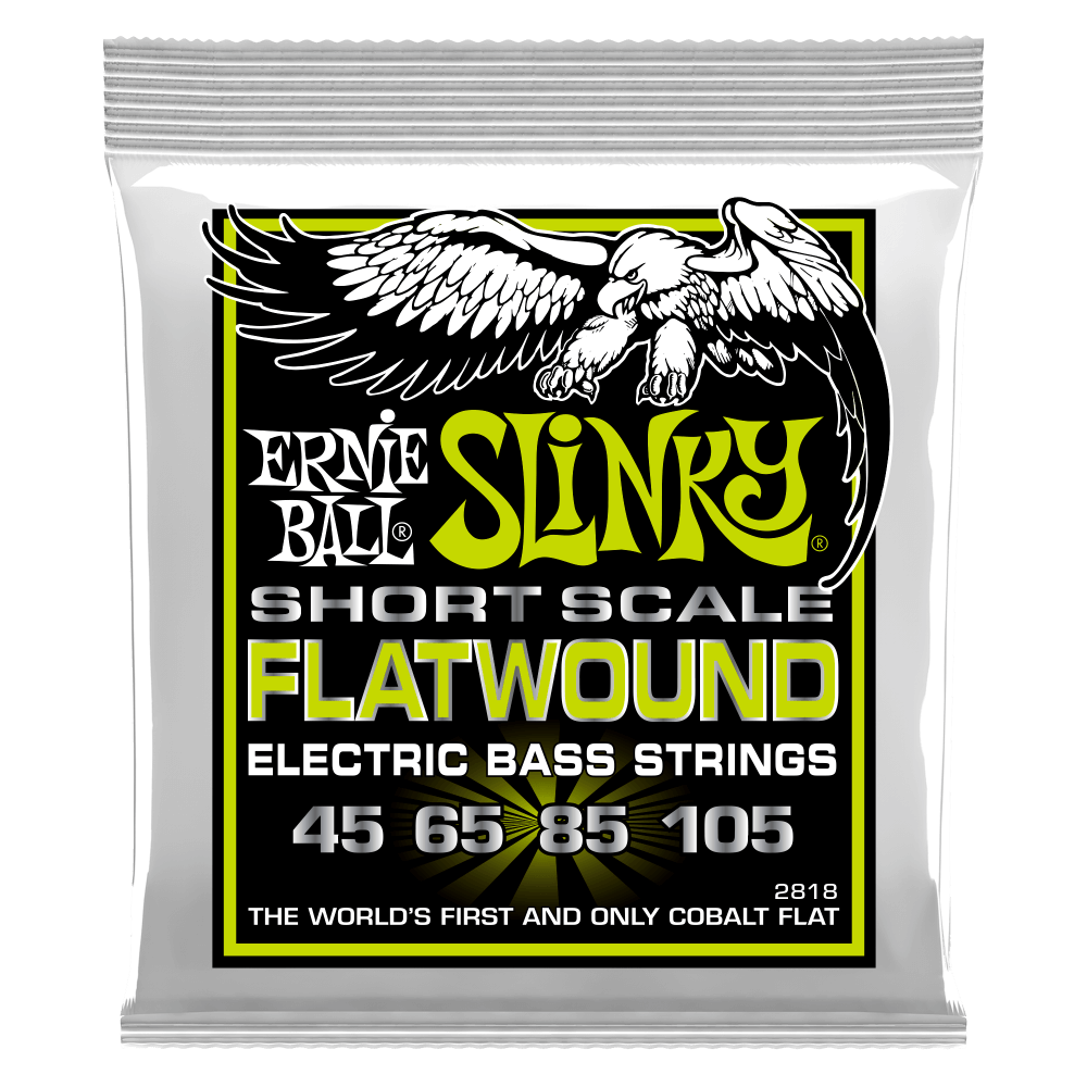 Ernie Ball P02818 Regular Slinky Flatwound Short Scale 45-105 Gauge