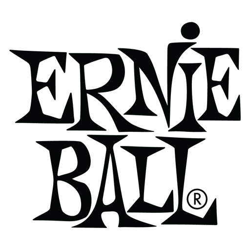 Ernie Ball P01458 Earthwood Phosphor Bronze Acoustic Bass String Single .055