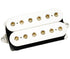 DiMarzio DP252W Steve Vai Signature Model Gravity Storm Humbucker Electric Guitar Pickup | Neck | White