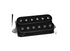 Dimarzio DP256B John Petrucci Signature Illuminator Electric Guitar Pickup | Neck | Black