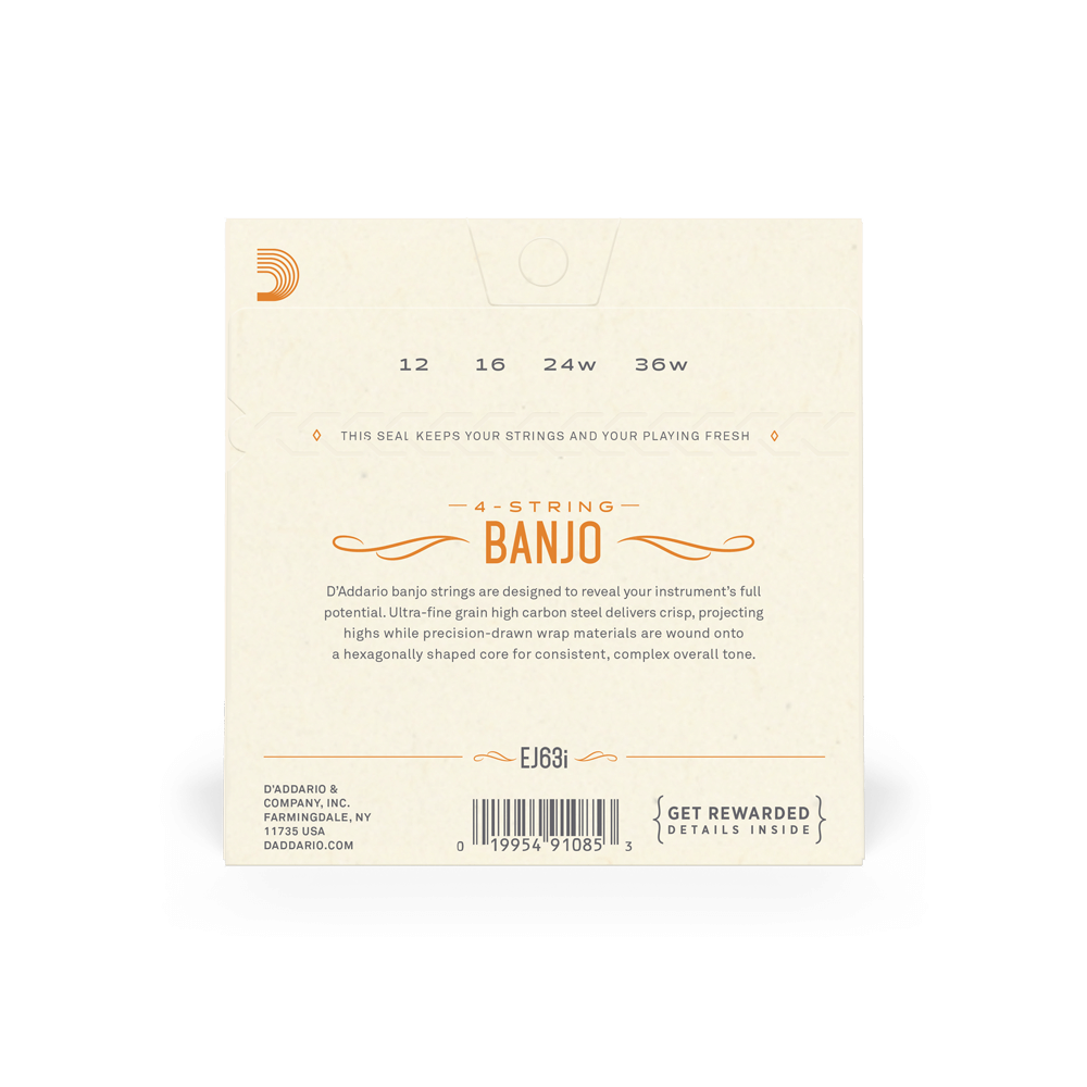 D'Addario EJ63I Irish Tenor Banjo Strings, Nickel, 9-30